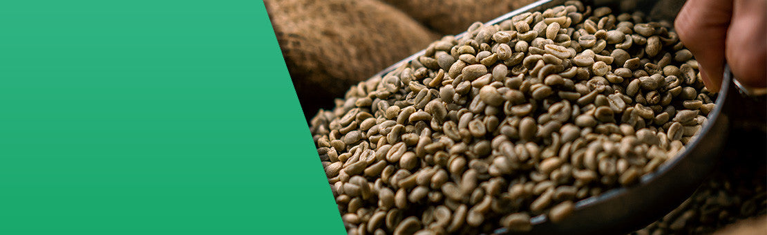 all american coffee llc bulk green coffee